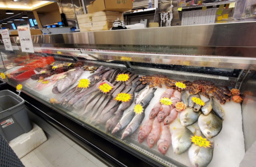A seafood display case filled with various fish and seafood, labeled with price tags and surrounded by ice.