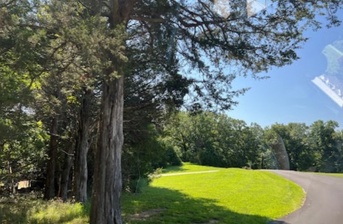 A sunny landscape featuring a winding road, green grass, and trees under a clear blue sky.