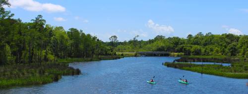 Two kayakers paddle on a serene river surrounded by lush greenery and a clear blue sky.