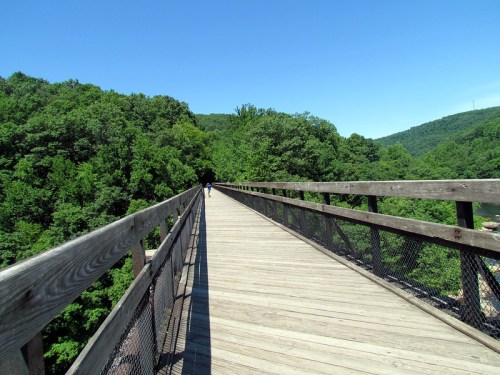 A wooden bridge stretches through lush green trees under a clear blue sky, with a person walking in the distance.