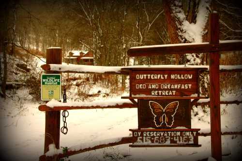 A wooden sign for Butterfly Hollow Bed and Breakfast Retreat, surrounded by snow-covered trees and a serene landscape.