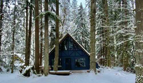 A cozy blue cabin nestled in a snowy forest, surrounded by tall trees and a serene winter landscape.