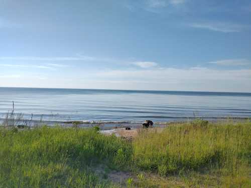 A serene beach scene with calm waters, gentle waves, and green grass in the foreground under a clear blue sky.