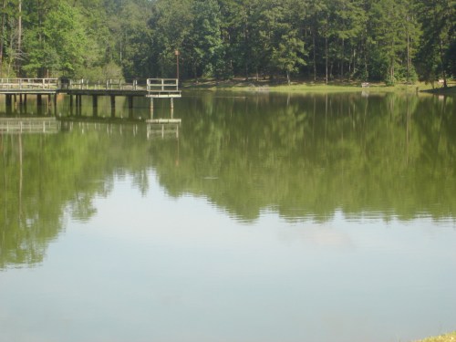 A calm lake reflecting trees and a wooden dock on a sunny day.