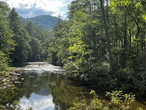 A serene river flows through a lush green forest, with mountains in the background under a partly cloudy sky.