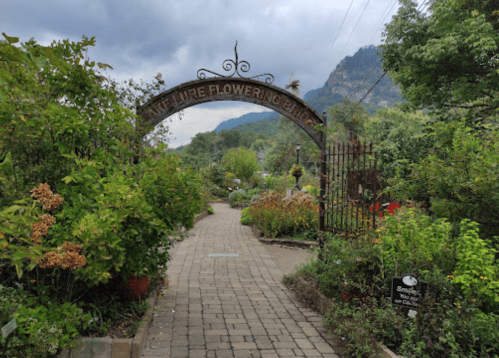 A stone pathway leads through a lush garden under an archway labeled "Nature Flowering Park." Mountains loom in the background.