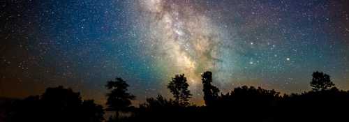 A stunning night sky filled with stars and the Milky Way, silhouetted by dark tree outlines at the bottom.