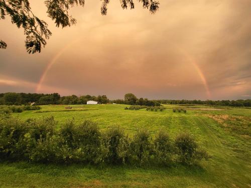 A vibrant rainbow arcs over a lush green field under a cloudy, golden sky.