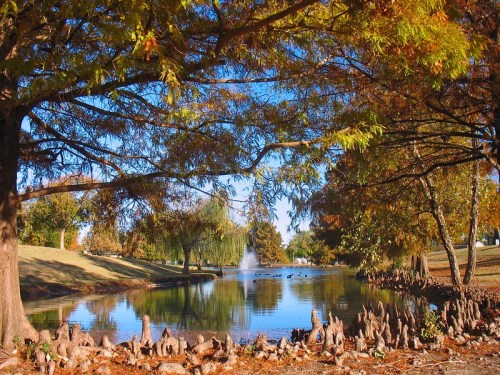 A serene pond surrounded by autumn trees, with a fountain and ducks in the water under a clear blue sky.