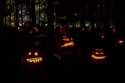 A dark scene featuring glowing jack-o'-lanterns with various spooky faces, surrounded by trees.