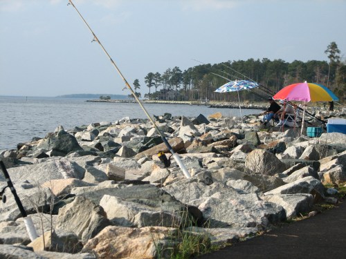 A rocky shoreline with fishing rods and colorful umbrellas, where people are fishing by the water's edge.