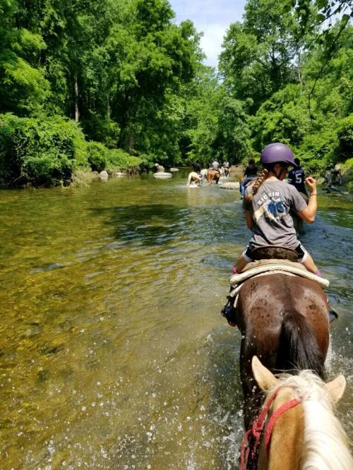 A group of people riding horses through a shallow stream surrounded by lush green trees on a sunny day.