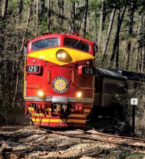 A bright red vintage train with a star logo travels through a wooded area, surrounded by trees.