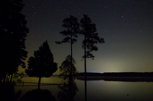 Silhouetted trees by a calm lake under a starry night sky, with a faint glow on the horizon.