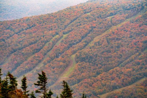 A scenic view of rolling hills covered in vibrant autumn foliage, with ski trails visible among the trees.