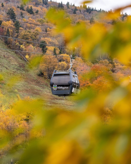 A gondola glides through vibrant autumn foliage in a mountainous landscape.