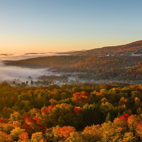 A scenic view of a forested landscape at sunrise, with vibrant autumn colors and mist rising over the hills.