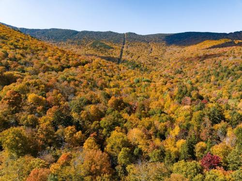 Aerial view of a vibrant autumn landscape with colorful trees and rolling hills under a clear blue sky.