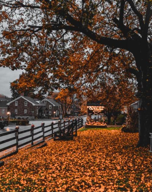 A scenic view of a path lined with orange autumn leaves, leading to a sign and buildings in the background.