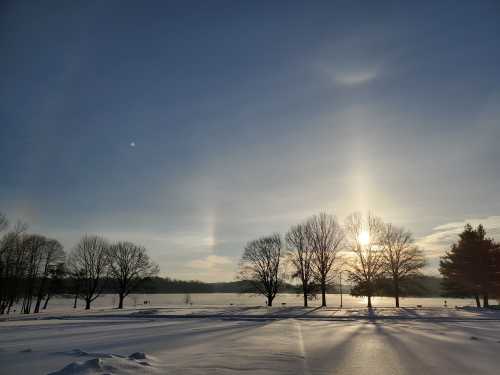 A snowy landscape with trees silhouetted against a bright sky, featuring a sun and a faint rainbow halo.