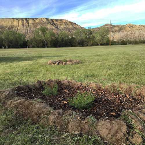 A circular garden bed with small plants, surrounded by mulch, set against a backdrop of hills and a clear sky.