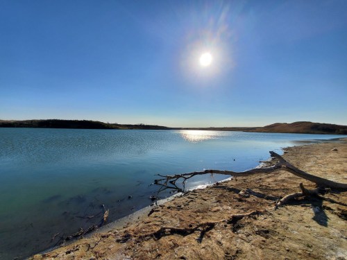 A serene lake under a clear blue sky, with the sun shining and a sandy shore lined with driftwood.