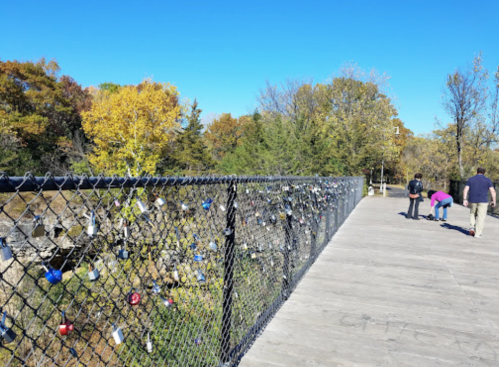 A wooden walkway with a chain-link fence adorned with colorful locks, surrounded by trees and a clear blue sky.
