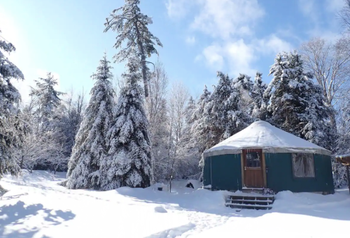 A cozy yurt surrounded by snow-covered trees on a bright winter day.