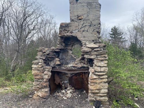 A partially collapsed stone chimney stands among trees, with debris scattered at its base.
