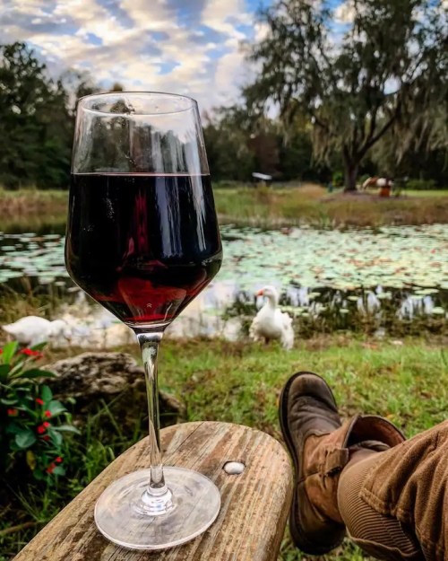 A glass of red wine sits on a wooden stump by a serene pond, with a person’s boot and ducks in the background.