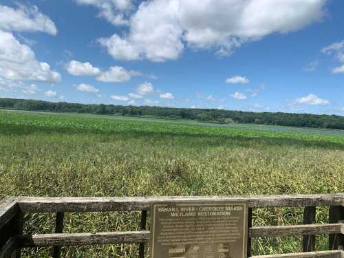 A scenic view of a wetland restoration area with lush greenery and a blue sky, featuring a sign about the site.