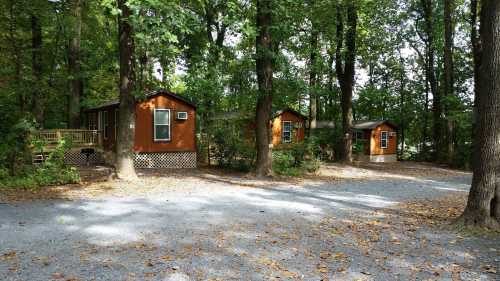 Two small brown cabins nestled among trees, with a gravel driveway and fallen leaves scattered on the ground.