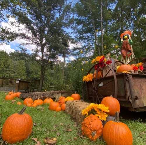 A rustic scene with pumpkins, flowers, and a scarecrow near an old cart, surrounded by trees and a blue sky.