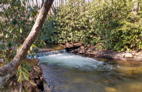 A serene stream flows through a lush green landscape, with a small waterfall and surrounding trees.