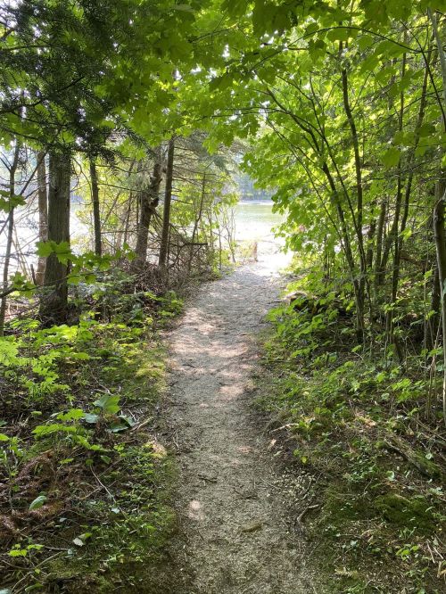 A narrow, sandy path leads through lush green foliage towards a serene lake in the distance.