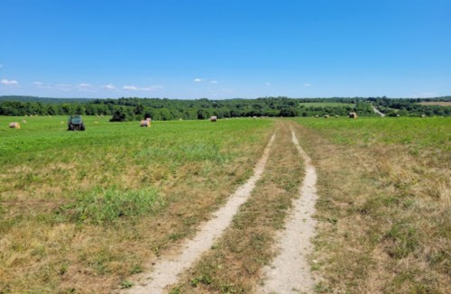 A dirt path leads through a green field with hay bales under a clear blue sky and distant hills.