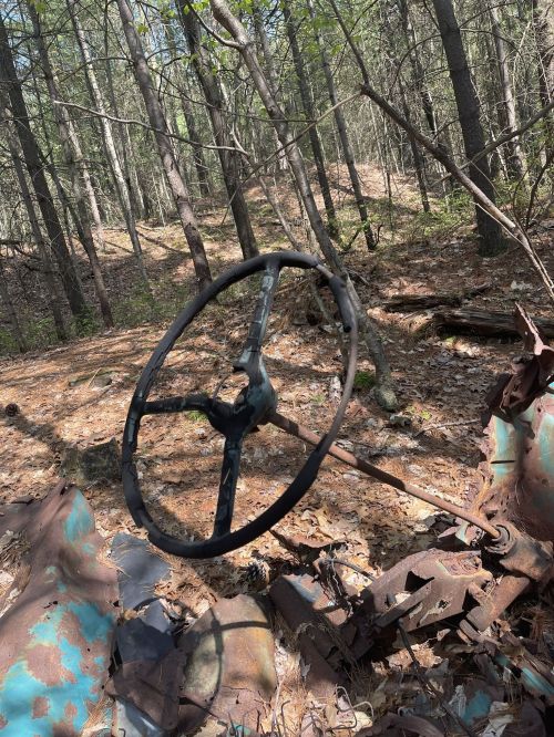 An old, rusted steering wheel sits among trees and fallen leaves in a forested area.