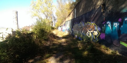 A narrow path lined with vibrant graffiti on a wall, surrounded by overgrown vegetation and trees.