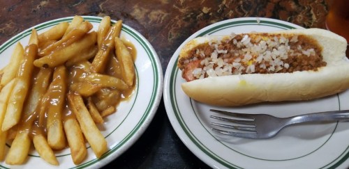A plate with a hot dog topped with onions and a side of fries smothered in gravy.