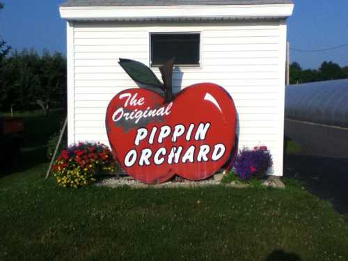 Sign for "The Original Pippin Orchard" featuring a large red apple design, surrounded by colorful flowers.