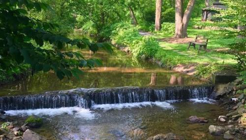A serene stream flows over a small waterfall, surrounded by lush greenery and trees in a peaceful outdoor setting.