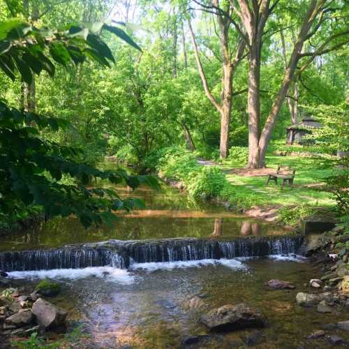 A serene stream flows over rocks in a lush green forest, surrounded by trees and a peaceful park area.