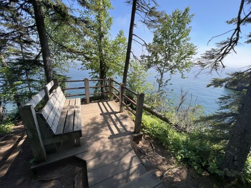 A wooden bench overlooks a serene lake, surrounded by trees and bright blue skies.