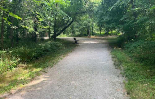 A gravel path through a lush green forest, with a bench visible on the side and trees lining the trail.