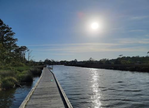 A wooden dock extends into a calm river under a bright sun, surrounded by lush greenery and a clear blue sky.