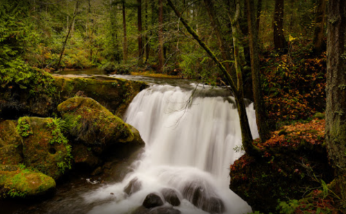 A serene waterfall cascades over rocks, surrounded by lush green trees and foliage in a tranquil forest setting.