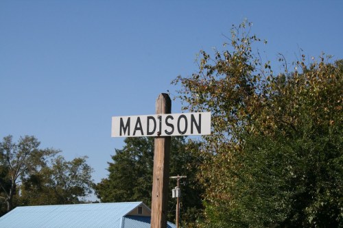 Signpost reading "MADISON" against a clear blue sky, surrounded by trees and a building in the background.