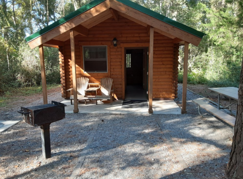 A cozy log cabin with a green roof, surrounded by trees, featuring a porch, picnic table, and a grill.