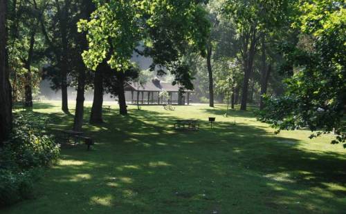 A serene park scene with a gazebo surrounded by trees and green grass, featuring picnic tables and a misty atmosphere.