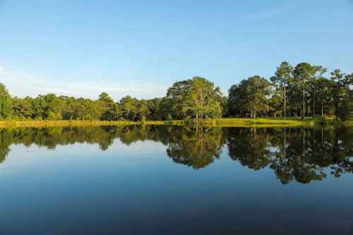 A serene lake reflecting trees and a clear blue sky, surrounded by lush greenery.